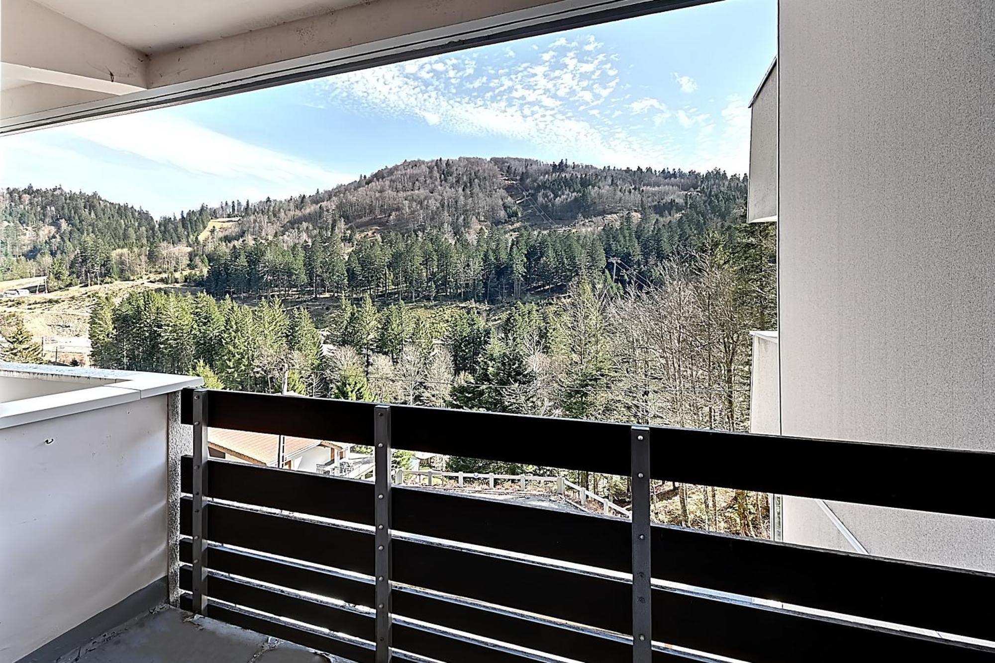 Le Cocoon - Appt Vue Montagne Διαμέρισμα La Bresse Εξωτερικό φωτογραφία