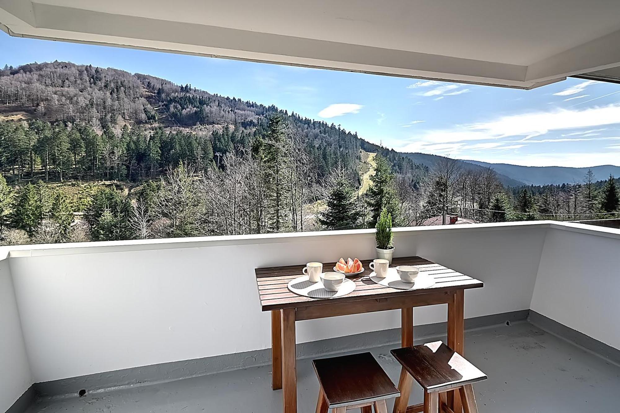Le Cocoon - Appt Vue Montagne Διαμέρισμα La Bresse Εξωτερικό φωτογραφία